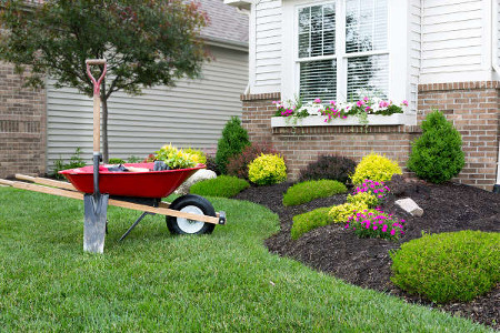 Planting Bed