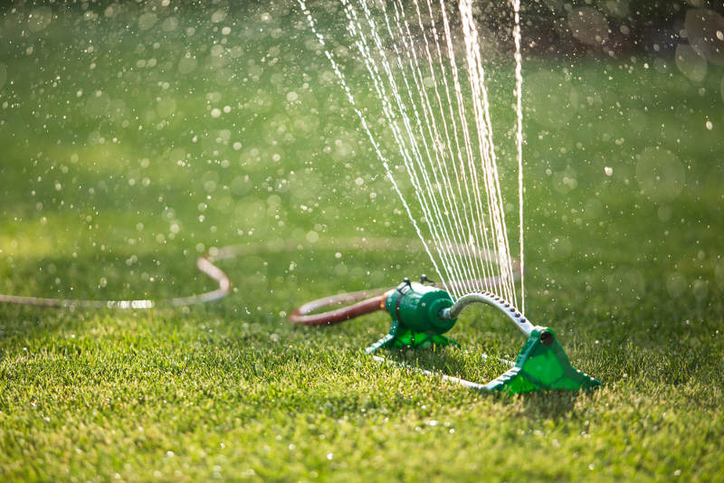 Watering lawn with sprinkler