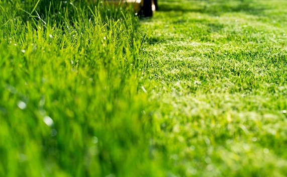 Mowing grass