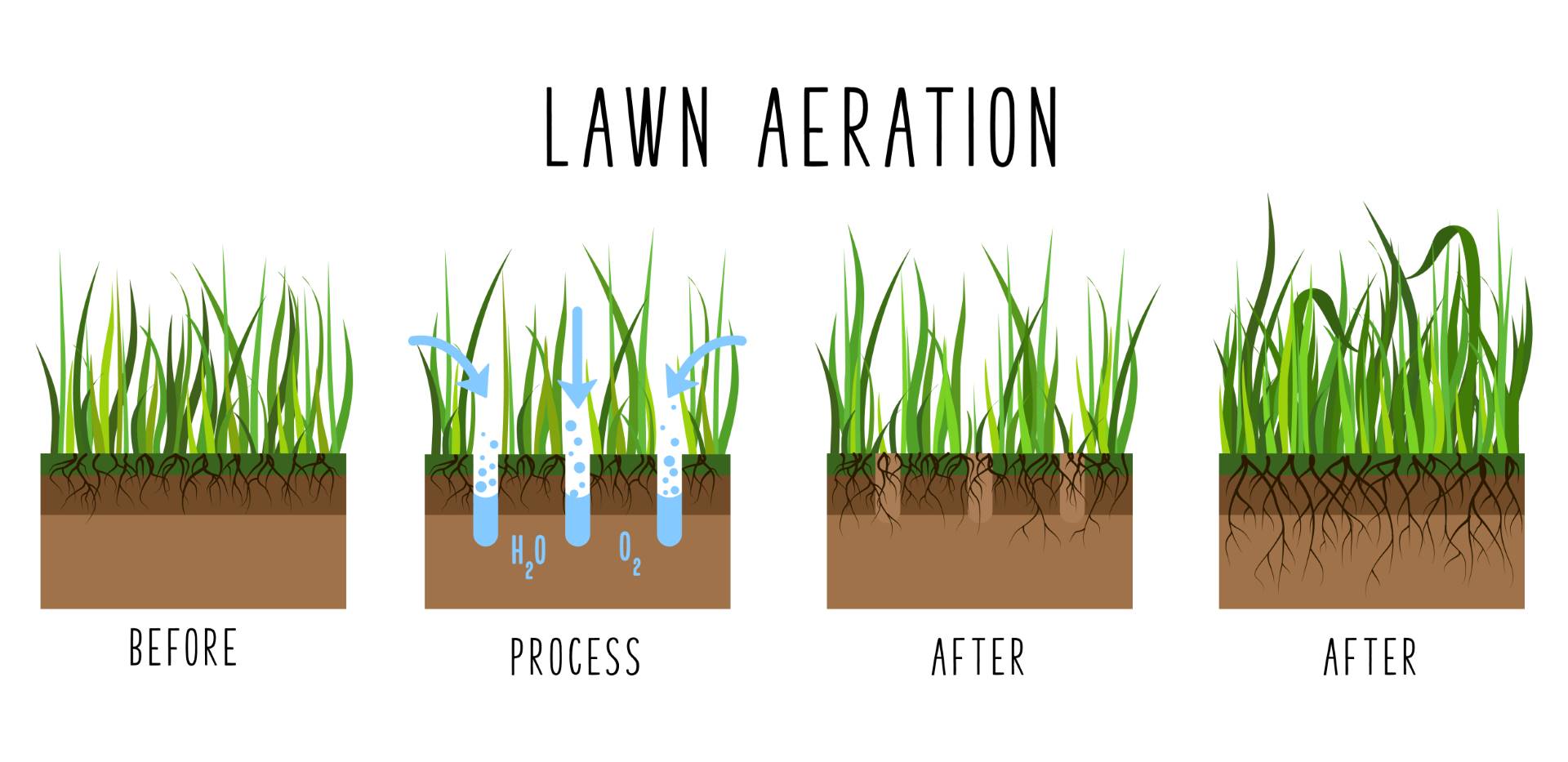 Core Aeration Over Seeding Top Dressing In Stafford Fredericksburg Spotsylvania Virginia